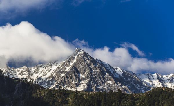 View from Triund Peak Dharamshala
